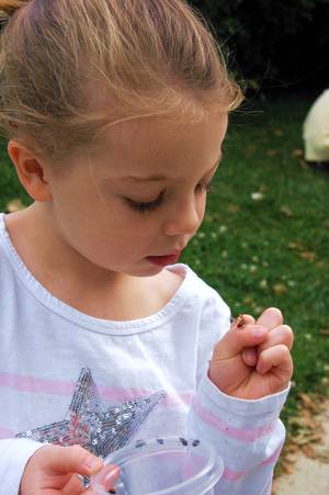 Girl looking at ladybug crawling on her hand